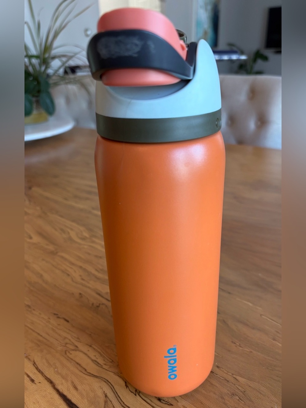 Owala FreeSip 32 oz Insulated Stainless Steel Water Bottle